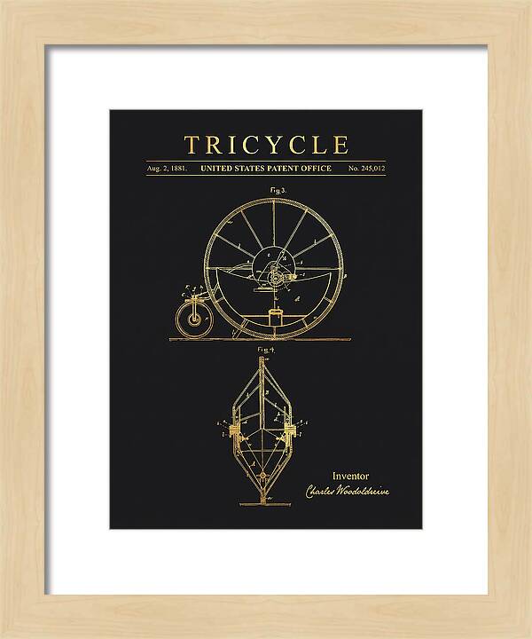 Tricycle Gold Patent Us245012a