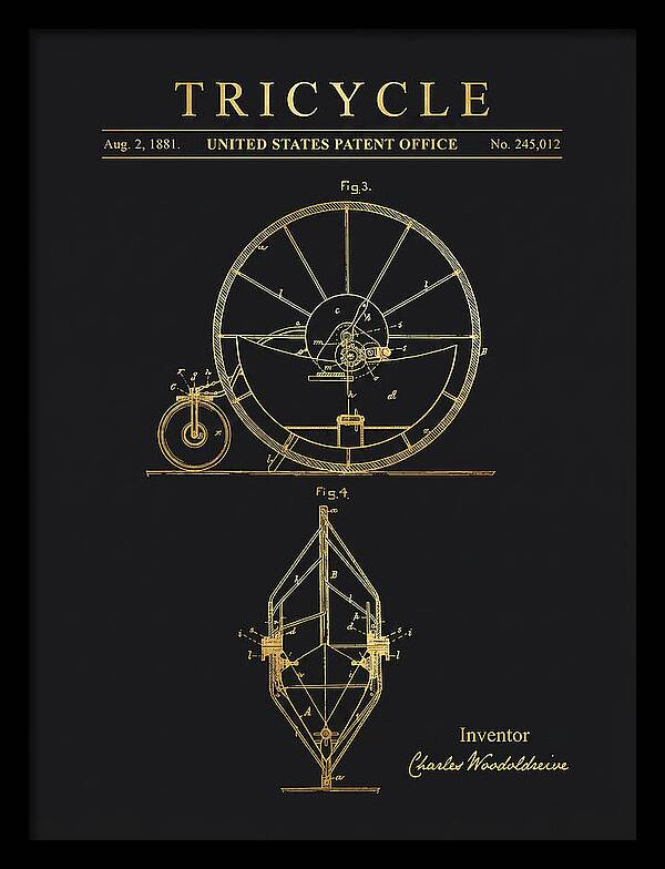 Tricycle Gold Patent Us245012a