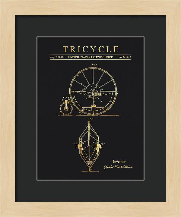 Tricycle Gold Patent Us245012a
