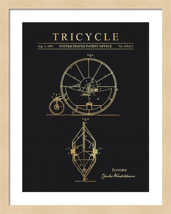 Tricycle Gold Patent Us245012a