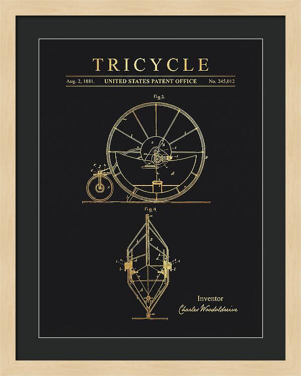 Tricycle Gold Patent Us245012a