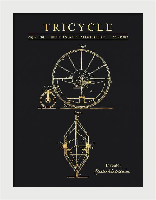 Tricycle Gold Patent Us245012a