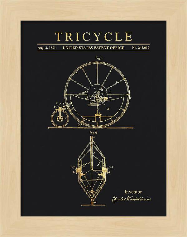 Tricycle Gold Patent Us245012a