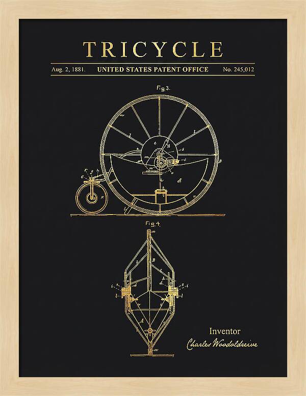 Tricycle Gold Patent Us245012a