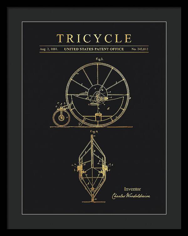 Tricycle Gold Patent Us245012a