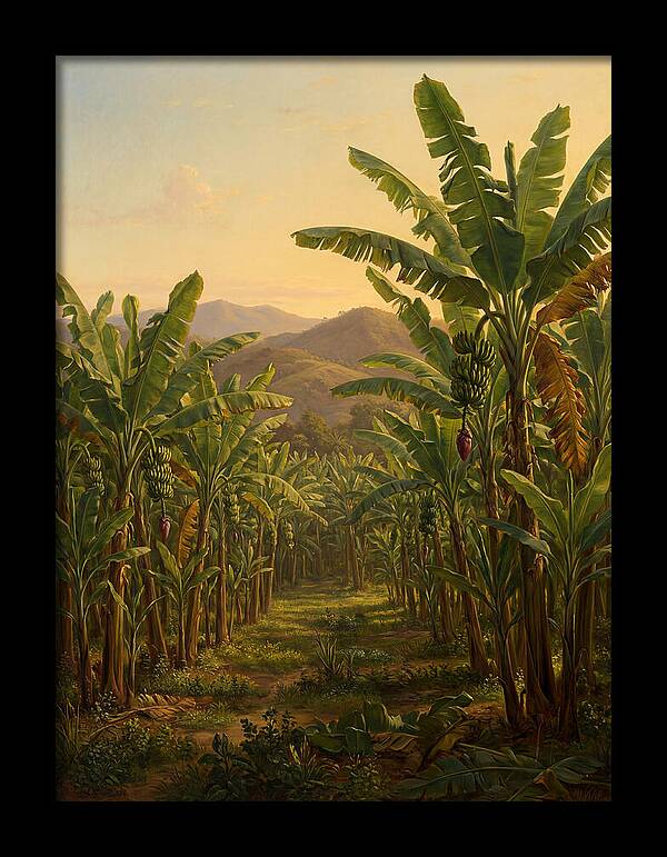 Tropical Banana Grove Tranquility