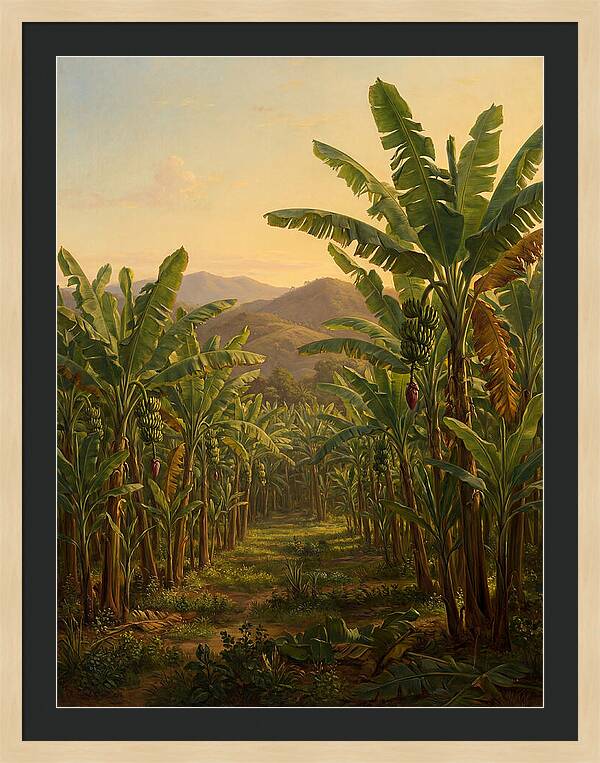 Tropical Banana Grove Tranquility