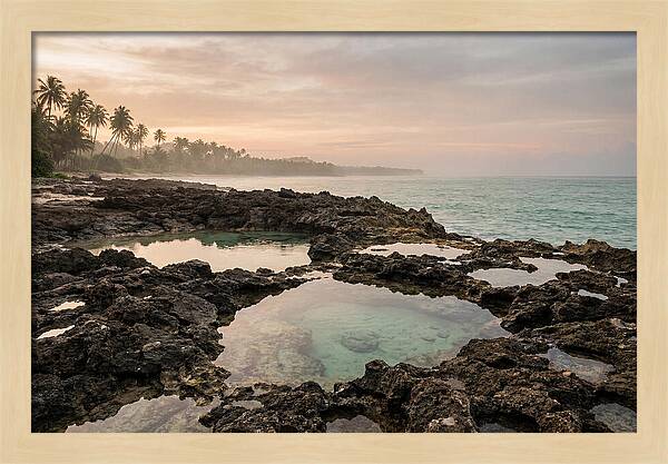 Tropical Beach Serenity
