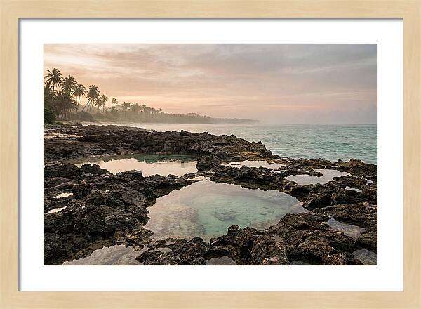 Tropical Beach Serenity
