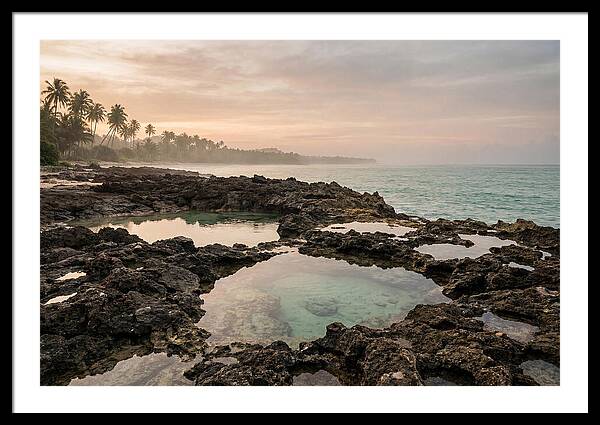 Tropical Beach Serenity