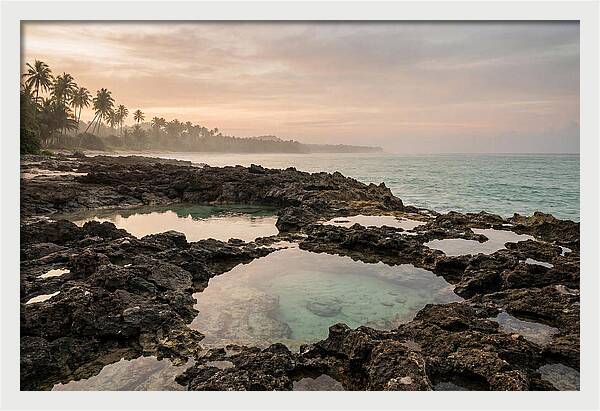 Tropical Beach Serenity