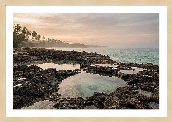 Tropical Beach Serenity