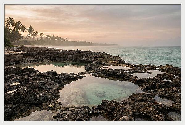 Tropical Beach Serenity
