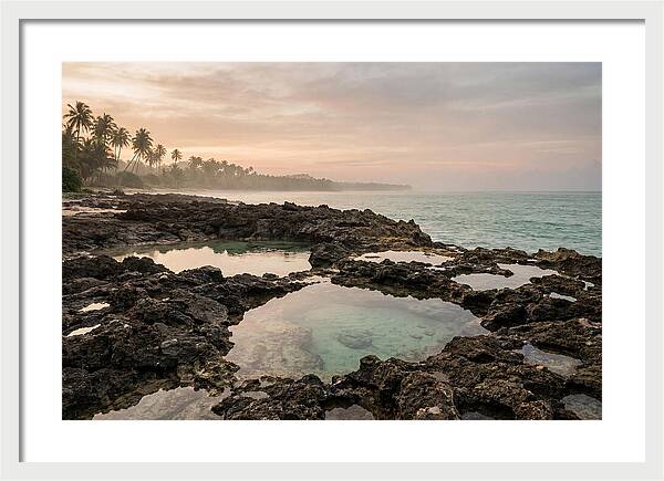 Tropical Beach Serenity