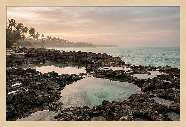 Tropical Beach Serenity