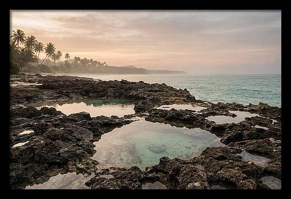Tropical Beach Serenity