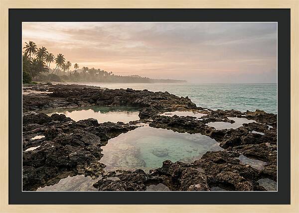 Tropical Beach Serenity
