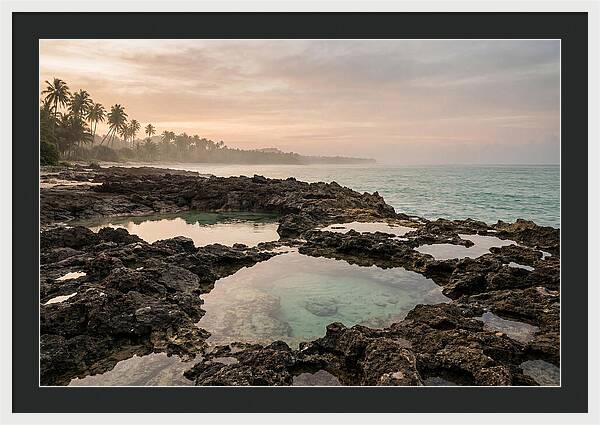 Tropical Beach Serenity