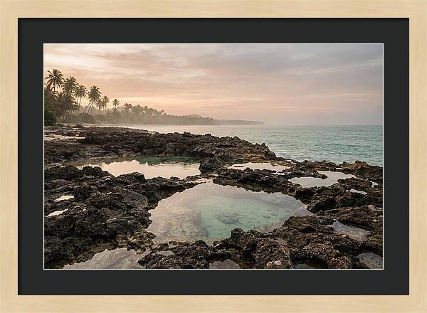 Tropical Beach Serenity