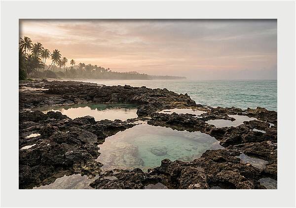 Tropical Beach Serenity