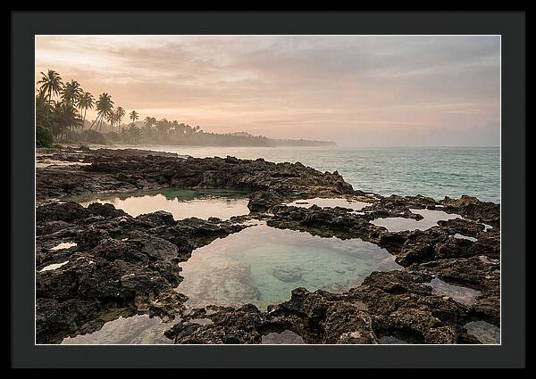 Tropical Beach Serenity