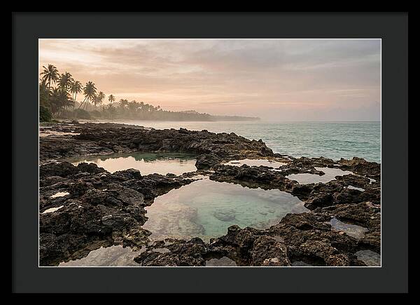 Tropical Beach Serenity