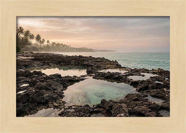 Tropical Beach Serenity