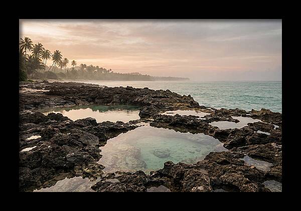 Tropical Beach Serenity