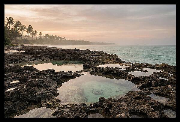 Tropical Beach Serenity