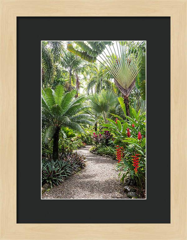 Tropical Botanical Garden Path