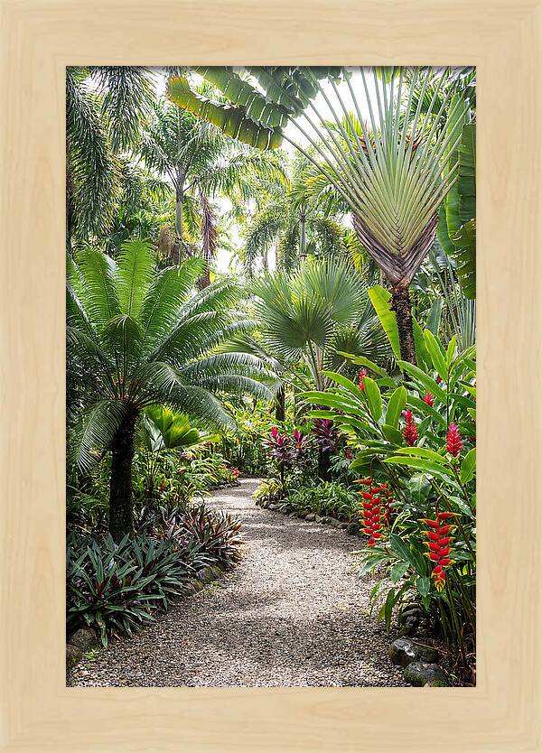 Tropical Botanical Garden Path