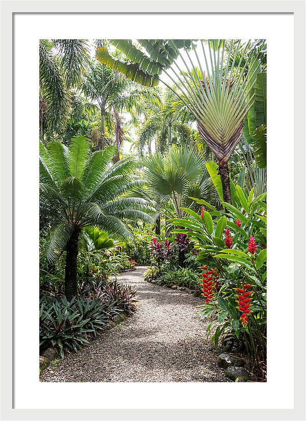 Tropical Botanical Garden Path