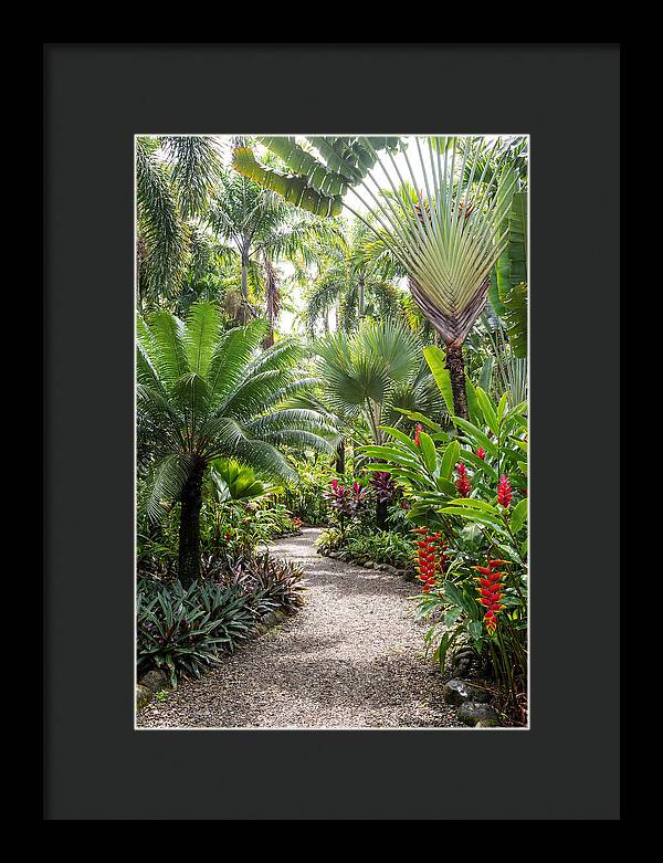 Tropical Botanical Garden Path