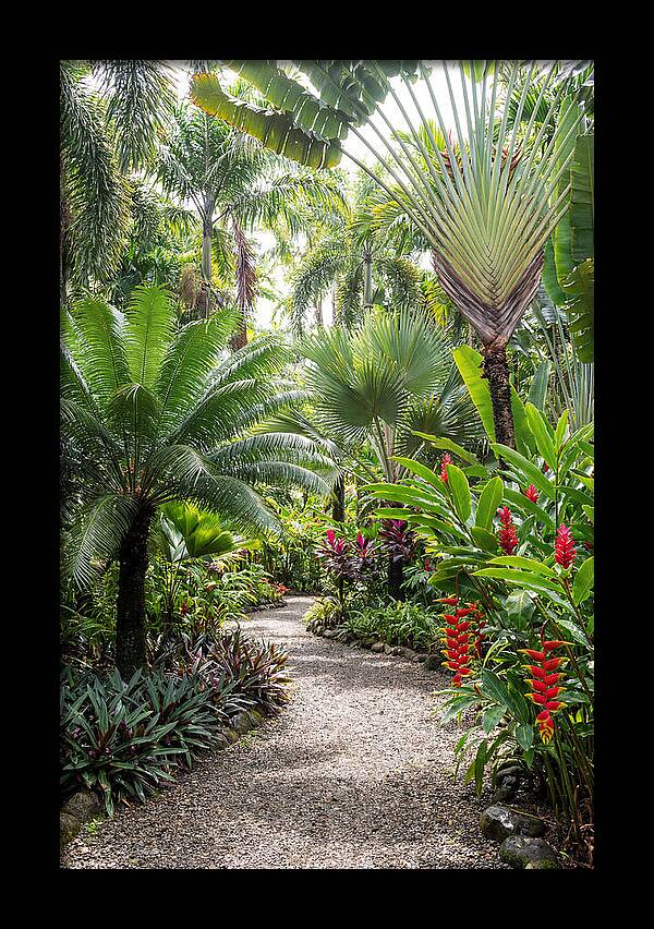 Tropical Botanical Garden Path