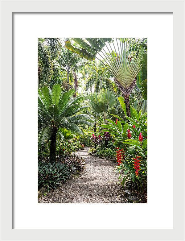Tropical Botanical Garden Path