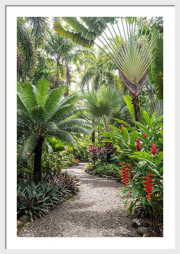 Tropical Botanical Garden Path
