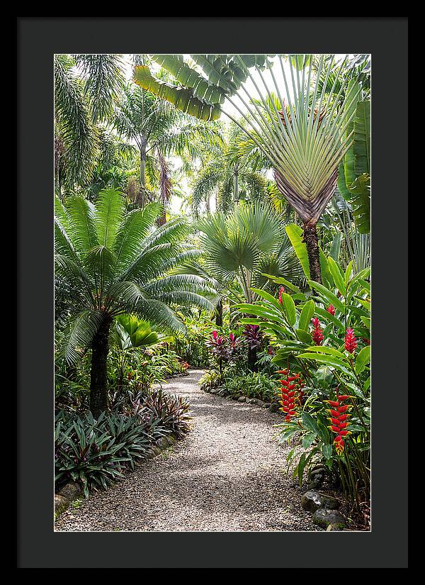 Tropical Botanical Garden Path