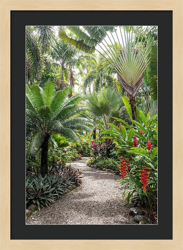Tropical Botanical Garden Path