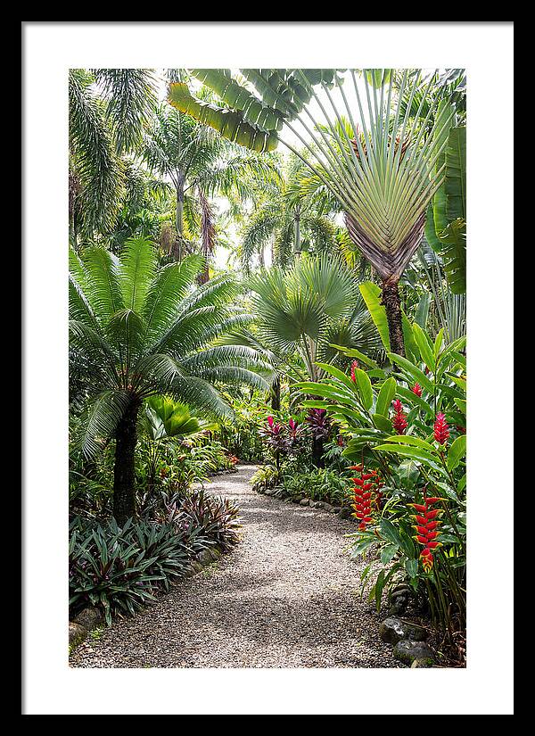 Tropical Botanical Garden Path