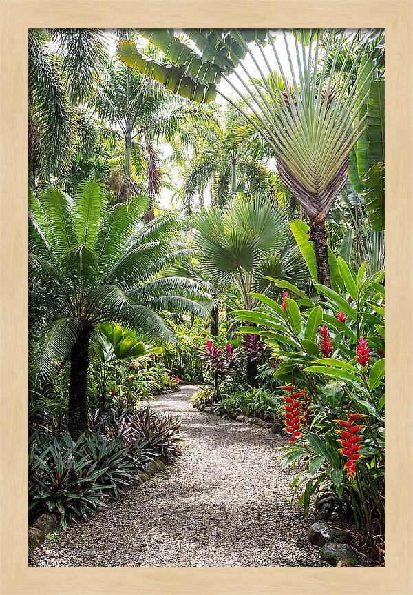 Tropical Botanical Garden Path