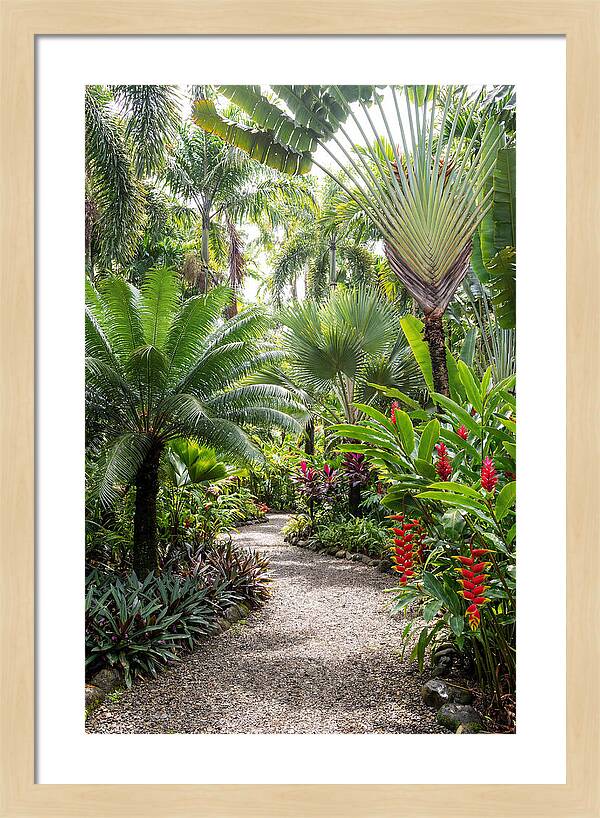 Tropical Botanical Garden Path