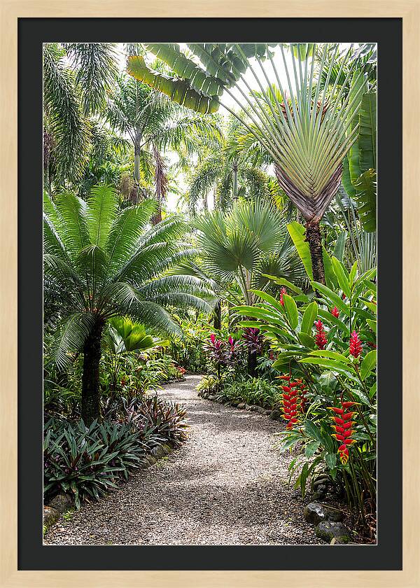 Tropical Botanical Garden Path