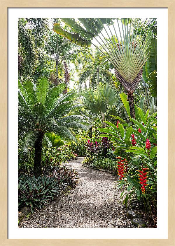 Tropical Botanical Garden Path