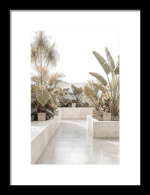 Tropical Botanical Oasis