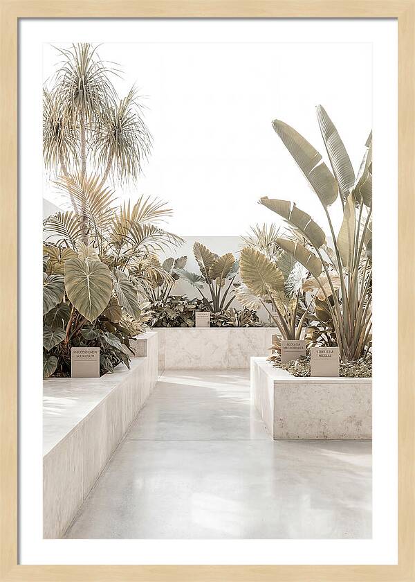 Tropical Botanical Oasis