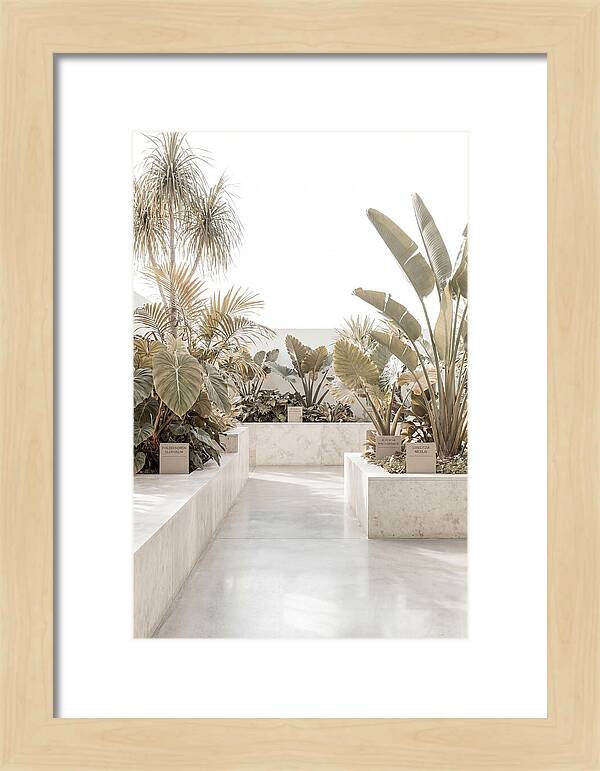 Tropical Botanical Oasis