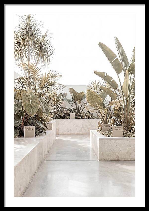 Tropical Botanical Oasis