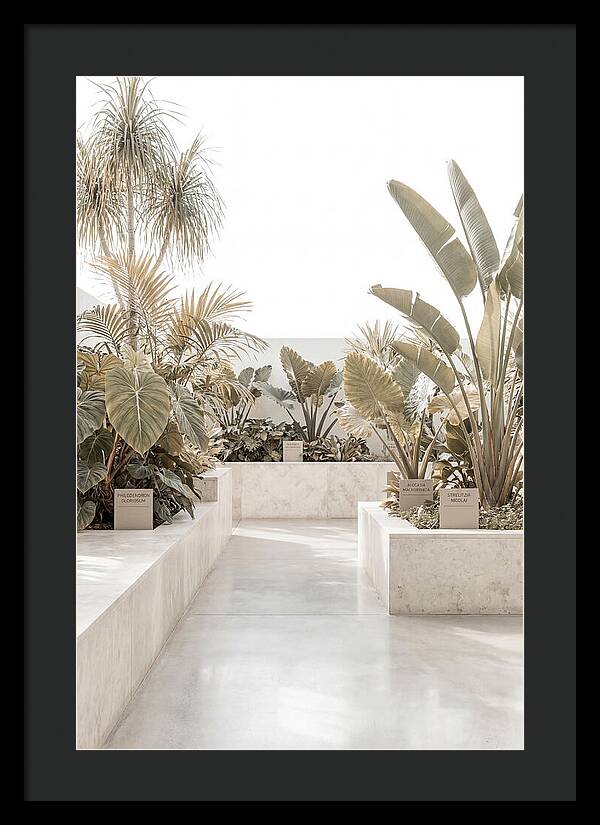 Tropical Botanical Oasis