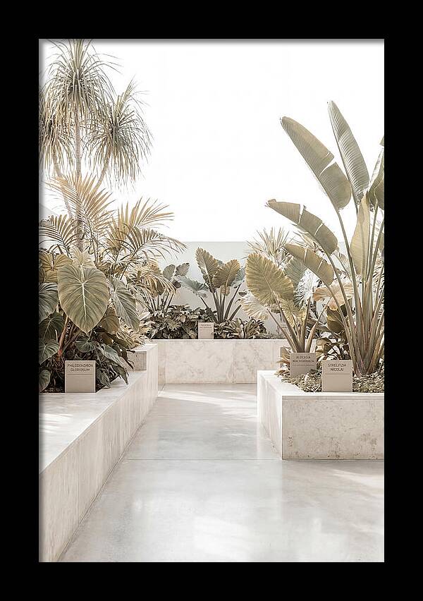Tropical Botanical Oasis