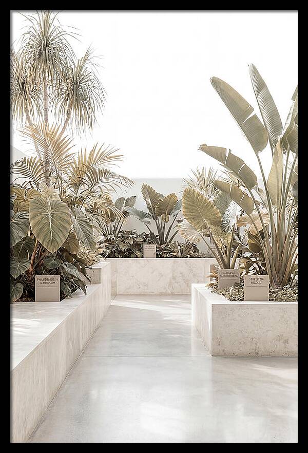 Tropical Botanical Oasis